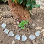 chumpi healing stone