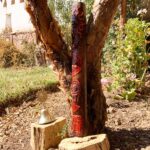 shamanic rainstick