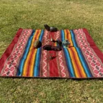 sacred shamanic altar