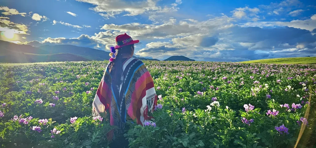 Peruvian Chullo Hat: History, Meaning and How It Is Made
