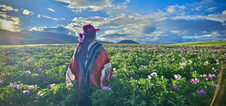 andean poncho