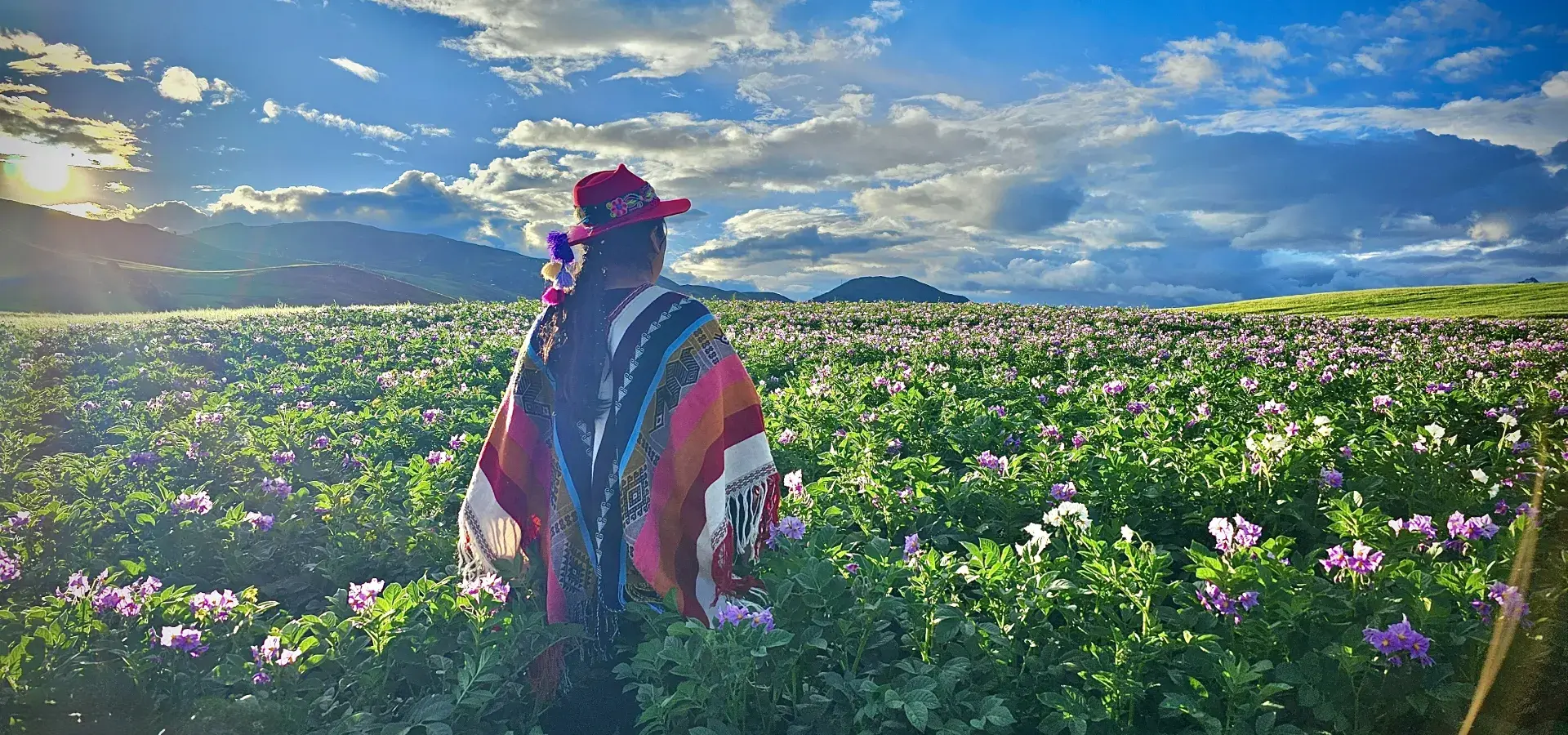 Handmade Peruvian Alpaca Ponchos & Capes